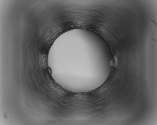 X0000099471107200805231823