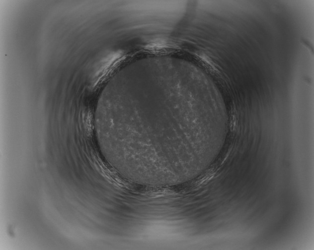 X0000099471108200805231823