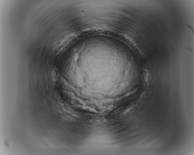 X0000099471110200805231823