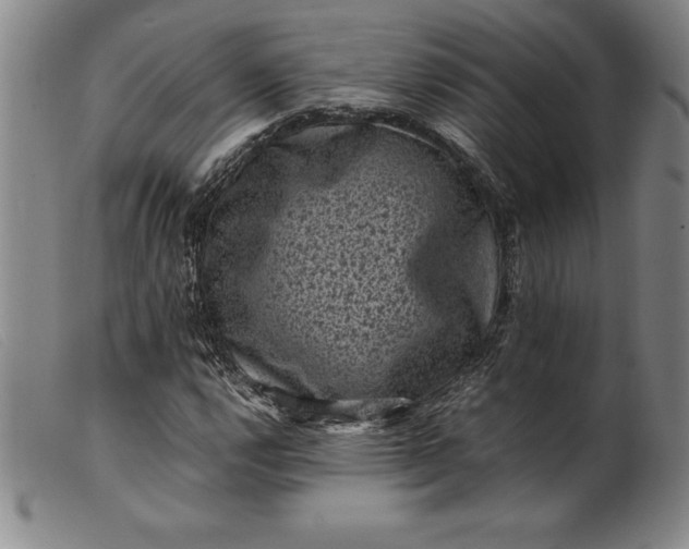 X0000099471112200805231823