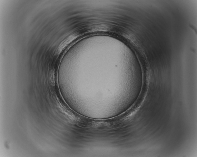 X0000099471113200805231823