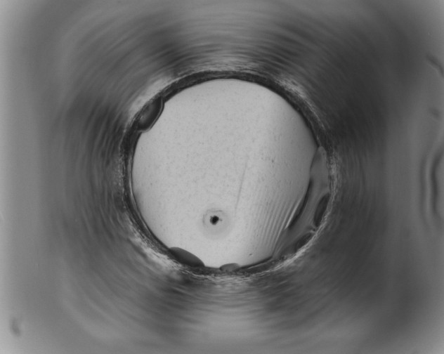 X0000099471114200805231823