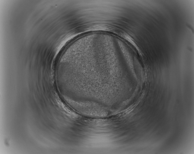 X0000099471116200805231823