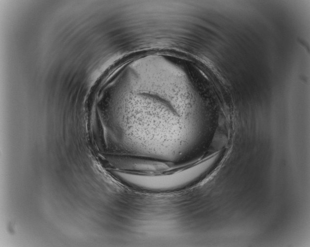 X0000099471118200805231823