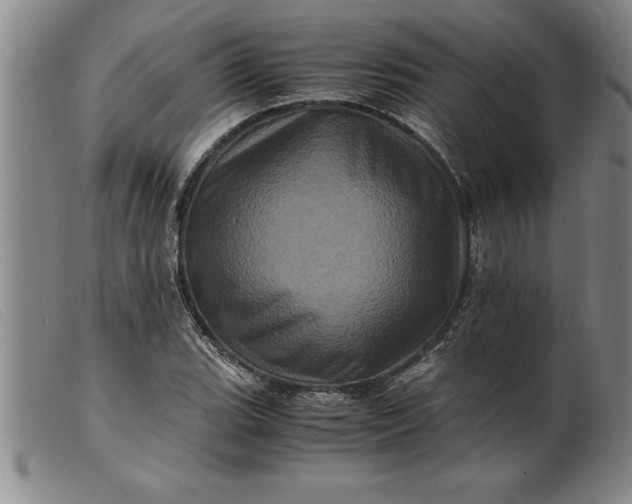 X0000099471119200805231824