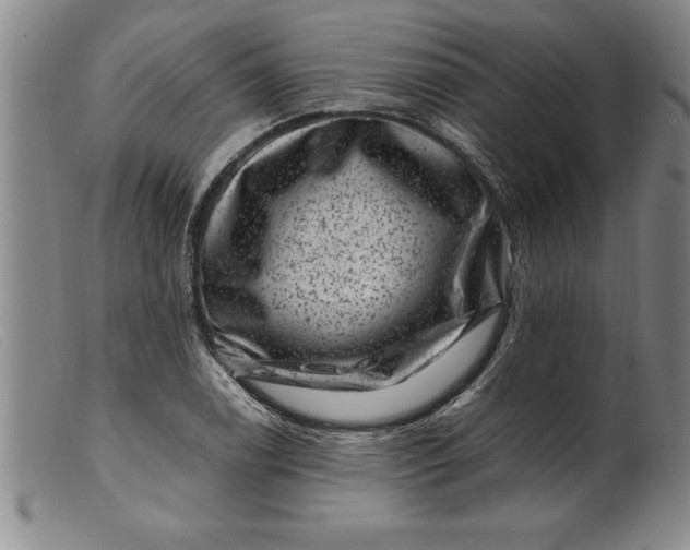 X0000099471122200805231824