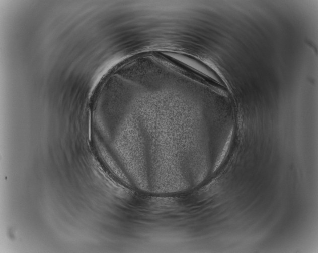 X0000099471123200805231824