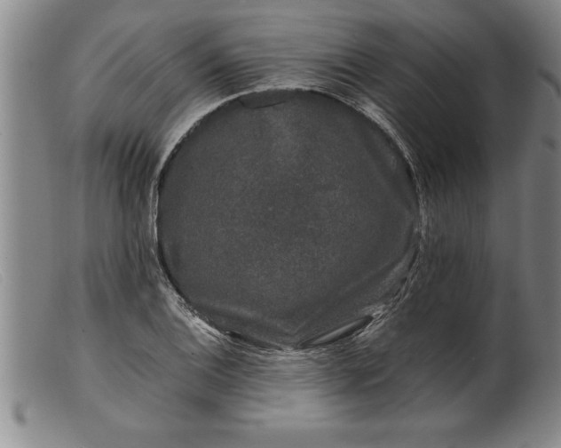X0000099471124200805231824
