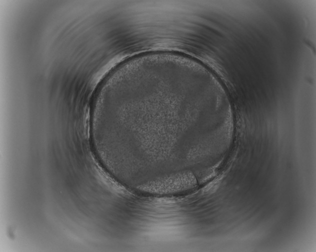 X0000099471126200805231824