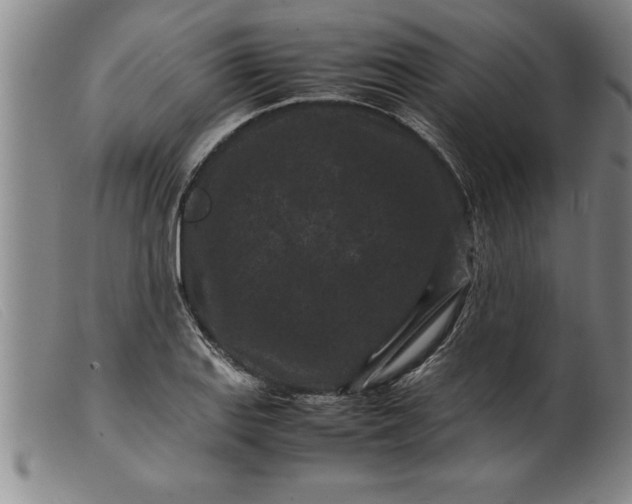 X0000099471127200805231824