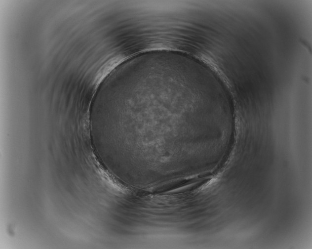 X0000099471129200805231824