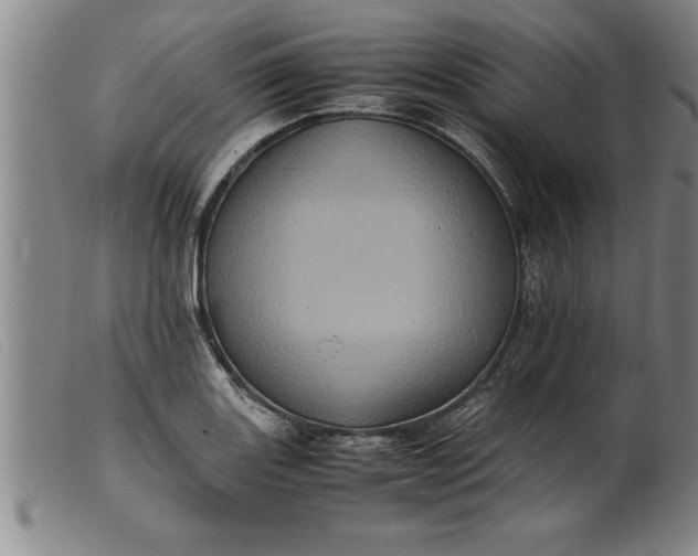 X0000099471131200805231824