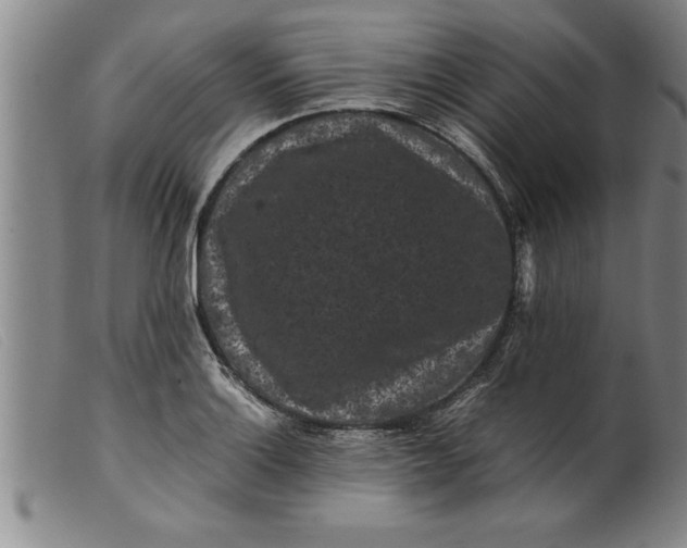 X0000099471132200805231824