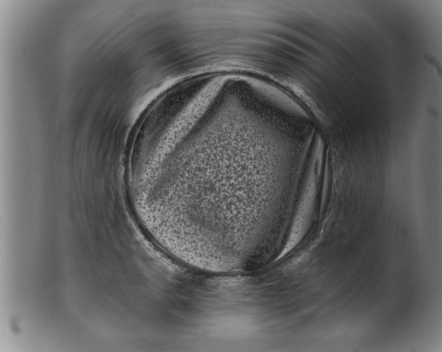 X0000099471134200805231824