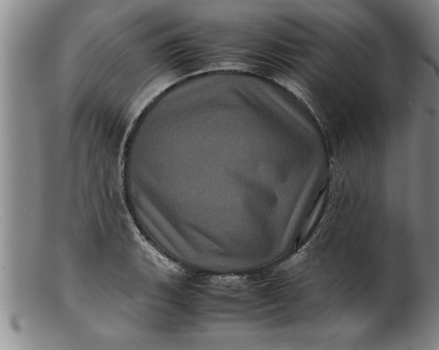 X0000099471135200805231824