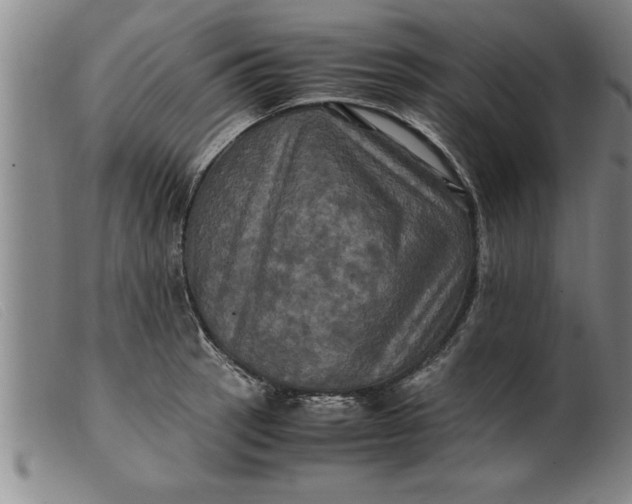 X0000099471137200805231824