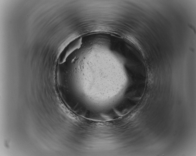 X0000099471138200805231824