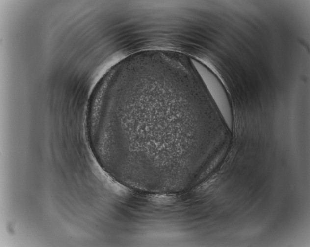 X0000099471139200805231824