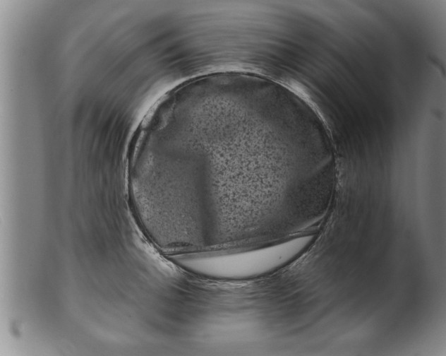 X0000099471140200805231824