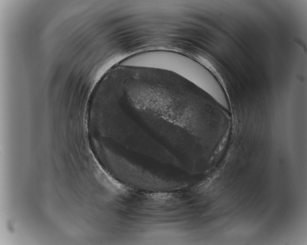 X0000099471141200805231824