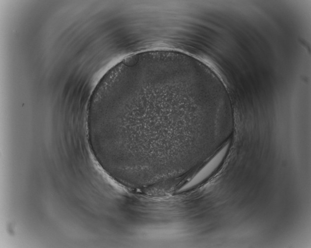 X0000099471142200805231824