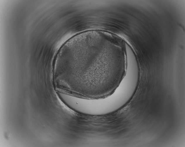 X0000099471143200805231824