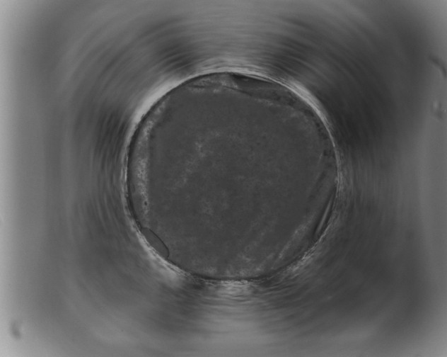 X0000099471144200805231824