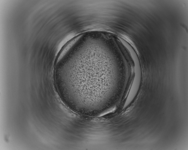 X0000099471146200805231824