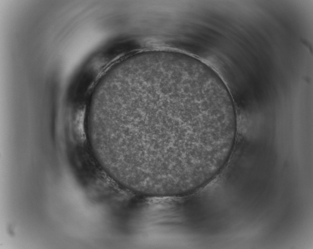 X0000099471150200805231824