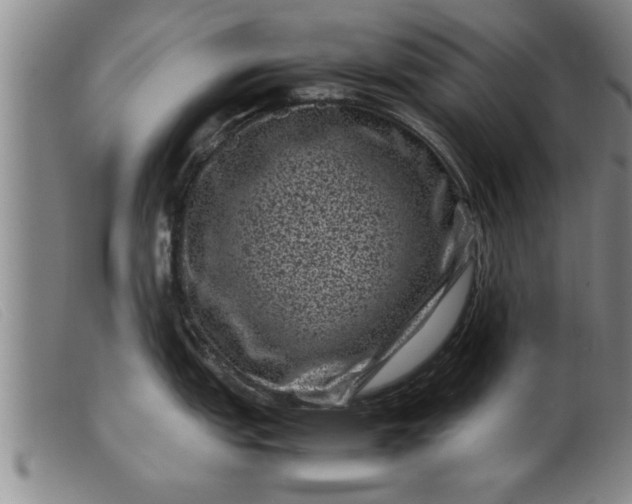 X0000099471151200805231824