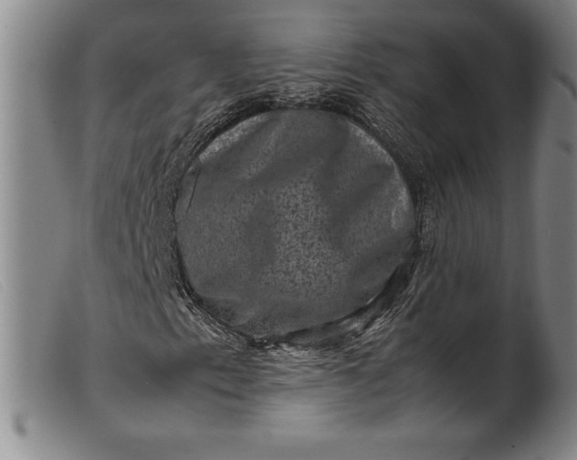 X0000099471153200805231823