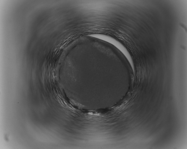 X0000099471154200805231823