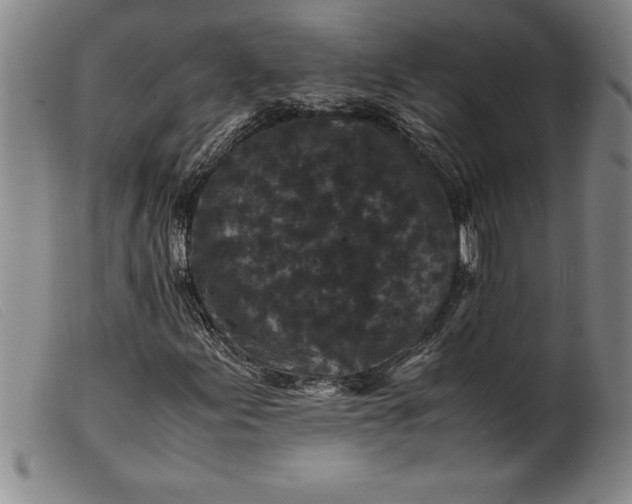 X0000099471155200805231823