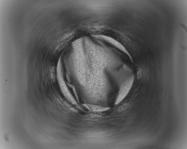 X0000099471156200805231823