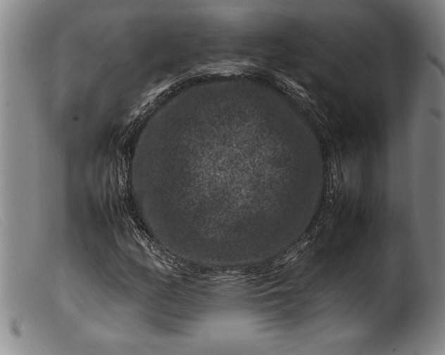 X0000099471158200805231823