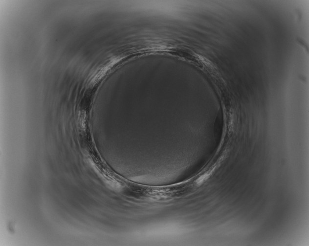 X0000099471161200805231823