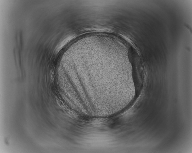 X0000099471163200805231823