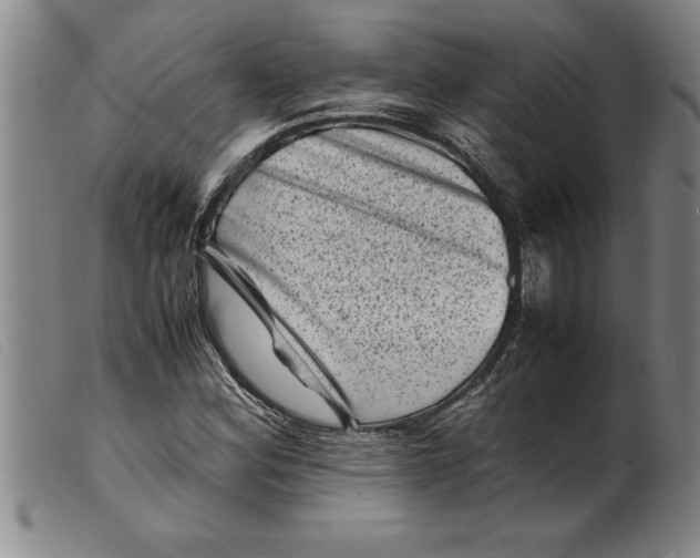 X0000099471164200805231823