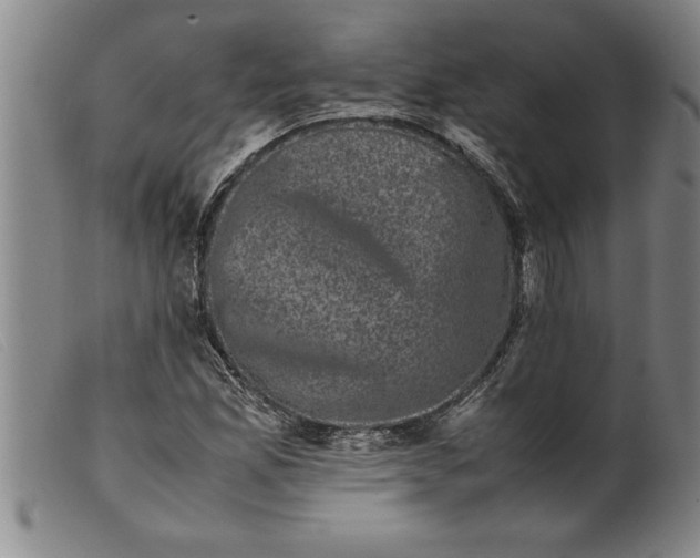 X0000099471165200805231823