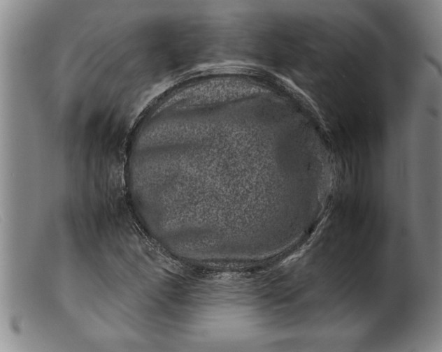 X0000099471166200805231823
