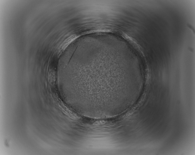 X0000099471169200805231823