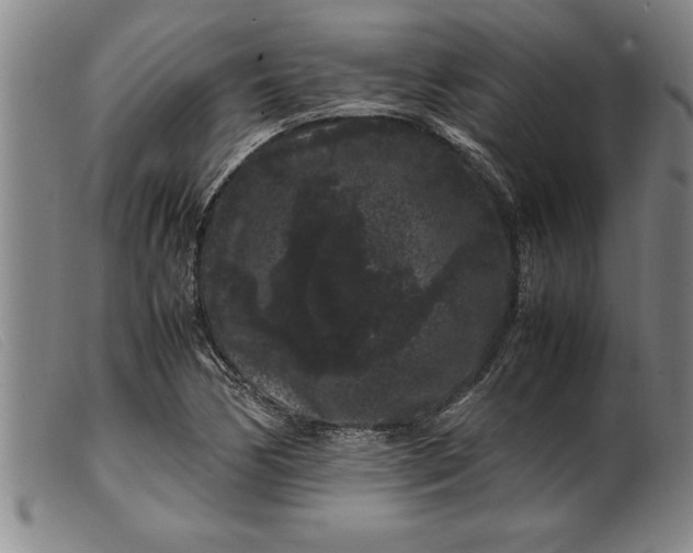 X0000099471170200805231823