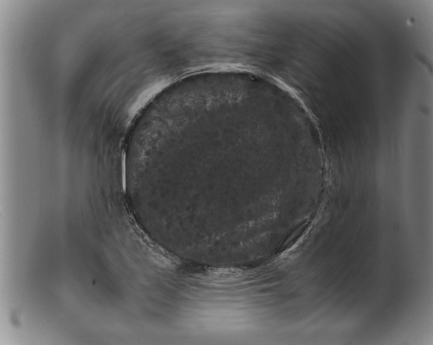 X0000099471171200805231823
