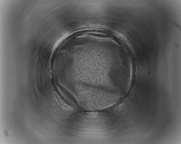 X0000099471172200805231823