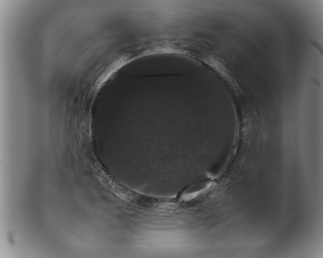 X0000099471173200805231823