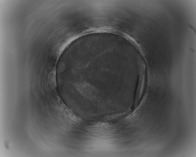 X0000099471174200805231823