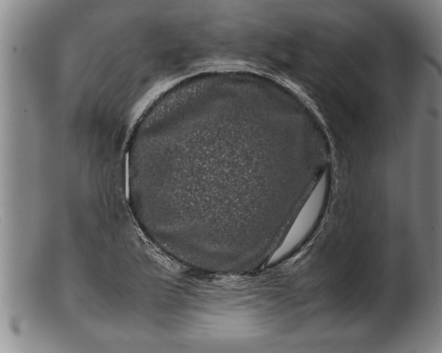 X0000099471175200805231823