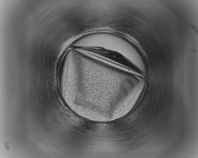 X0000099471176200805231823