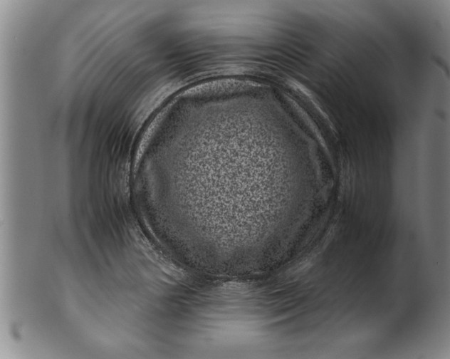 X0000099471178200805231823