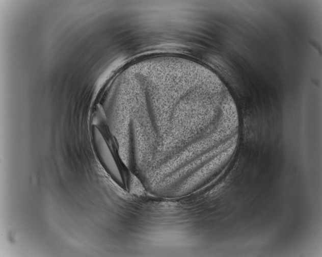 X0000099471180200805231823